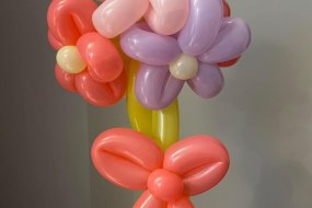 Party Land Sheffield Balloon Modellers Profile 1