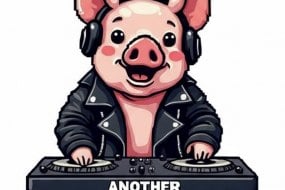 Another Piggin DJ Bands and DJs Profile 1