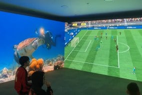 Dynamo LED Displays undefined Profile 1