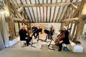 4Strings Quartet Classical Musician Hire Profile 1