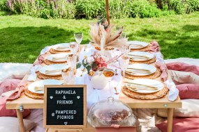 Pampered Picnics Baby Shower Party Hire Profile 1