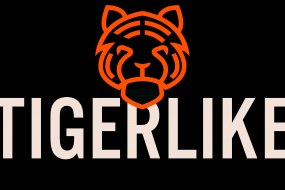 Tigerlike Events Event Planners Profile 1