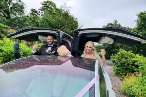 Falcon Tesla Wedding Cars undefined Profile 1