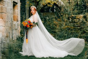 Ariel in Blue Photography