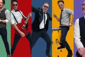 The Blue Rinse Live Band & Lighting Hire undefined Profile 1