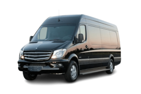 Scotland Minibus Hire - Minibuses in Our Fleet