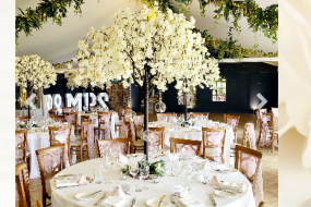 Special Touch Event Hire Sequin Wall Hire Profile 1