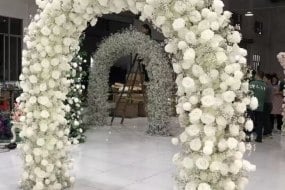 Pretty Little Details  Flower Wall Hire Profile 1