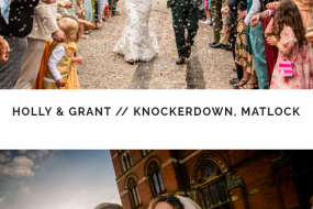 Forest Fox Photography