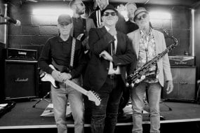 Ska Train Band Hire Profile 1