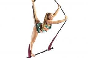 Lauren McDonnell Entertainment Balancing Acts Profile 1