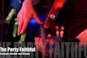 The Party Faithful Wedding Band Hire Profile 1