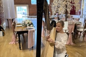Cat the Harpist Musician
Hire Profile 1