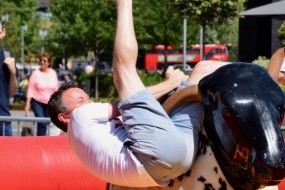 A Load Of Bull Belfast Inflatable Fun Hire Profile 1