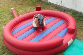Fritzs Entertainments Rodeo Bull Hire Profile 1