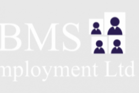 BMS Employment Ltd Hire Waiting Staff Profile 1