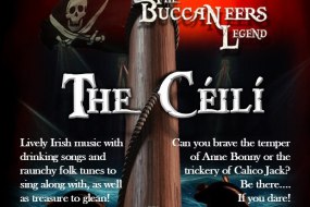 AMA Theatre Co. Ceilidh and Folk Band Hire Profile 1