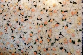 Ellie Telesford-Simmons Event Decor & Styling Flower Wall Hire Profile 1