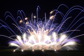 Fantastic Fireworks Firework Suppliers Profile 1