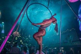 Atlanta Entertainments Agency Ltd Aerialists for Hire Profile 1