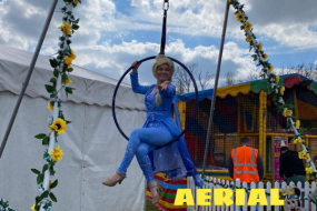 MJ Productions Aerialists for Hire Profile 1