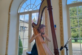 Noa Davies-Harpist Musician Hire Profile 1