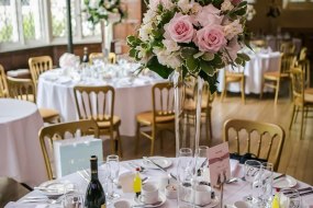 Ivory and Cove Wedding Planning and Services  Wedding Planner Hire Profile 1
