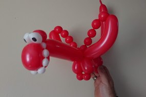 Nessy's Novelty Balloon Art Balloon Modellers Profile 1