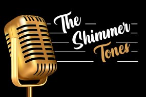 The Shimmer Tones Party Band Hire Profile 1