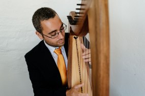 Wedding Harpist Mark Levin Musician Hire Profile 1
