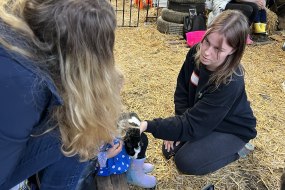 Manor Farm Experiences Animal Parties Profile 1