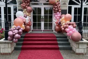 Balloons & Beyond Balloon Decoration Hire Profile 1