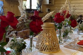 Zinko Entertainment Decorations Profile 1