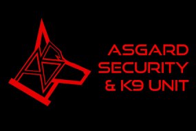 Asgard Security Hire Event Security Profile 1