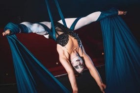Power Performance Circus Entertainment Profile 1