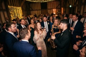 The Big Fat Party Band Wedding Band Hire Profile 1