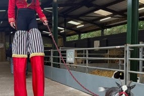Girls Of Safire Circus Workshops Profile 1