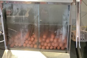 PPPS Services Ltd. Hot Dog Stand Hire Profile 1