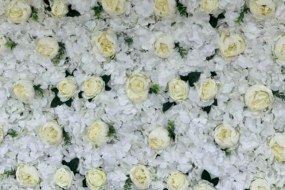 LG Entertainment Flower Wall Hire Profile 1