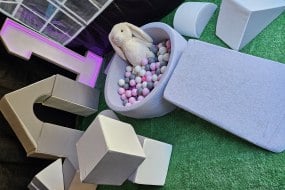 MD Occasions Soft Play Hire Profile 1