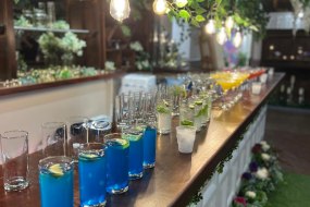 Sandhu Bars Corporate Hospitality Hire Profile 1