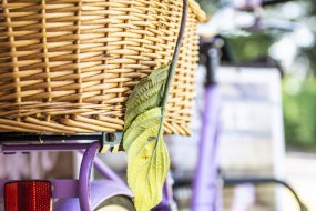 Glamour Events Hire Ice Cream Cart Hire Profile 1