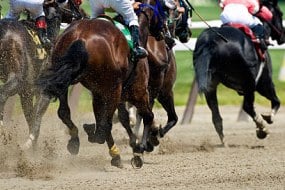 Horse Race Nights Party
Entertainers Profile 1