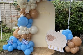 Balloons by Emily W Balloon Decoration Hire Profile 1