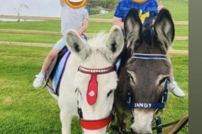 Emma’s donkeys Llanidloes Party
Entertainers Profile 1