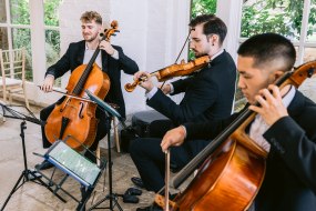 Petford Ensemble Classical Musician Hire Profile 1