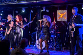 Tina Queen of Rhythm Musician
Hire Profile 1