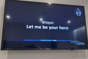 DJ Hotwheels Karaoke Hire Profile 1