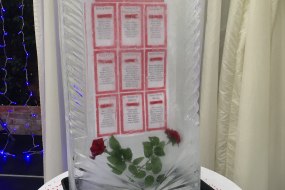 Ice Styling Wedding Accessory Hire Profile 1