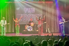 The Zoots 70s Cover Bands Profile 1